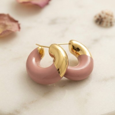 316L Çelik Gold Renk Pembe Halka Model Kadın Küpe 316L Çelik Gold Renk Pembe Halka Model Kadın Küpe