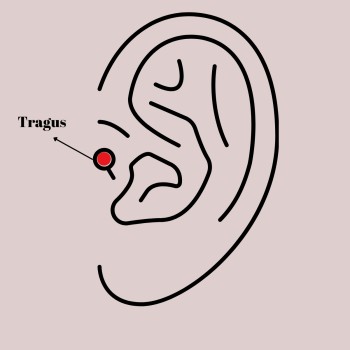 316L Çelik Gold Renk Zirkon Taşlı Çiçek Tragus Piercing