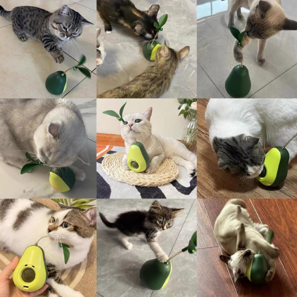Avokado Şeklinde Kedi Naneli ve Mama Hazneli Kedi Oyuncağı Avokado Şeklinde Kedi Naneli ve Mama Hazneli Kedi Oyuncağı