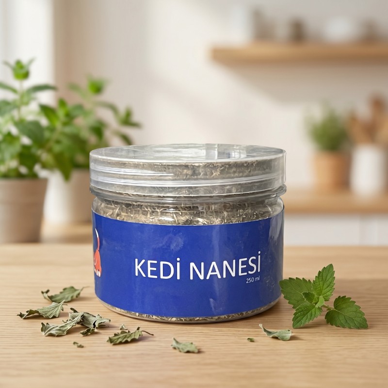 Doğal Kedi Nanesi (Catnip) - 250 ml Kavanoz - Eğlenceli ve Doğal Doğal Kedi Nanesi (Catnip) - 250 ml Kavanoz - Eğlenceli ve Doğal