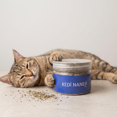Doğal Kedi Nanesi (Catnip) - 250 ml Kavanoz - Eğlenceli ve Doğal Doğal Kedi Nanesi (Catnip) - 250 ml Kavanoz - Eğlenceli ve Doğal