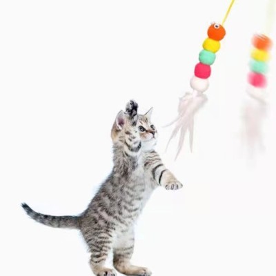 Elastik Yapışkanlı Kedi Oyun Oltası Elastik Yapışkanlı Kedi Oyun Oltası