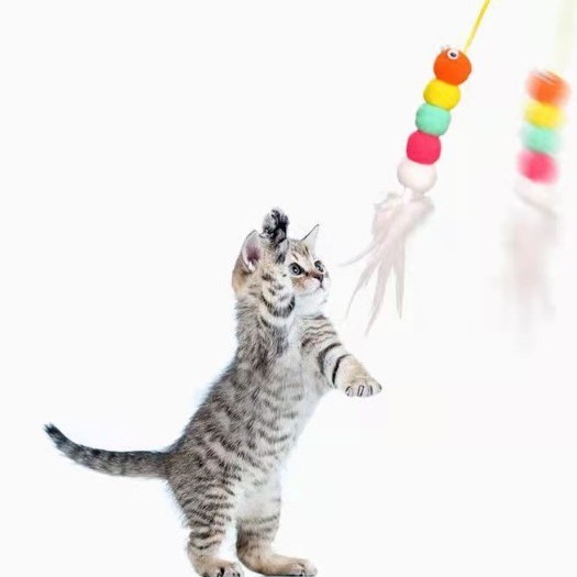 Elastik Yapışkanlı Kedi Oyun Oltası Elastik Yapışkanlı Kedi Oyun Oltası