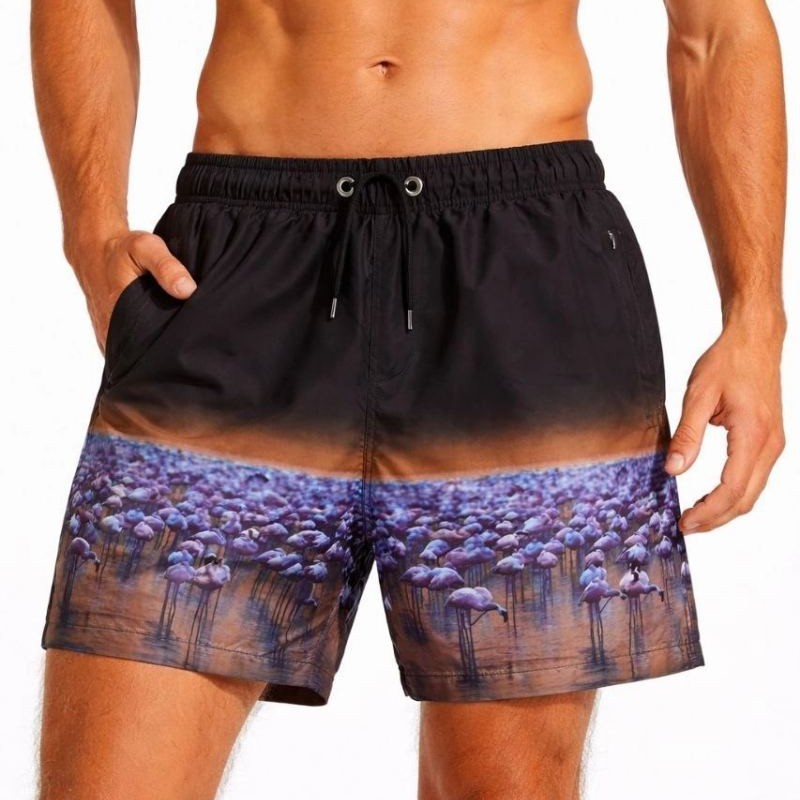 Erkek Deniz Şortu Fermuarlı Cepli File Astarlı Hızlı Kuruyan Premium - Siyah Erkek Deniz Şortu Fermuarlı Cepli File Astarlı Hızlı Kuruyan Premium - Siyah