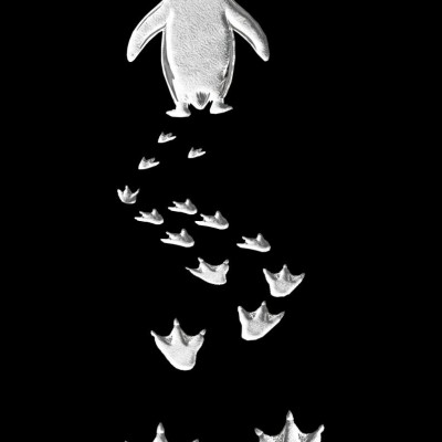 Erkek Nihilist Penguen Baskılı 3 İplik Pamuklu Kapüşonlu Sweatshirt Hoodie Siyah Erkek Nihilist Penguen Baskılı 3 İplik Pamuklu Kapüşonlu Sweatshirt Hoodie Siyah