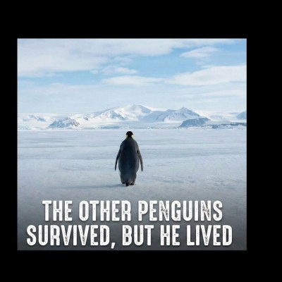 Erkek T-Shirt Penguen Baskılı Bisiklet Yaka Kısa kol yazlık Tişört - Siyah