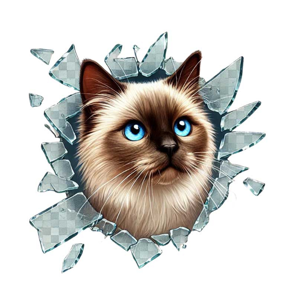 Fulcar Kedi Tasarımlı Araç Stickerı Fulcar Kedi Tasarımlı Araç Stickerı