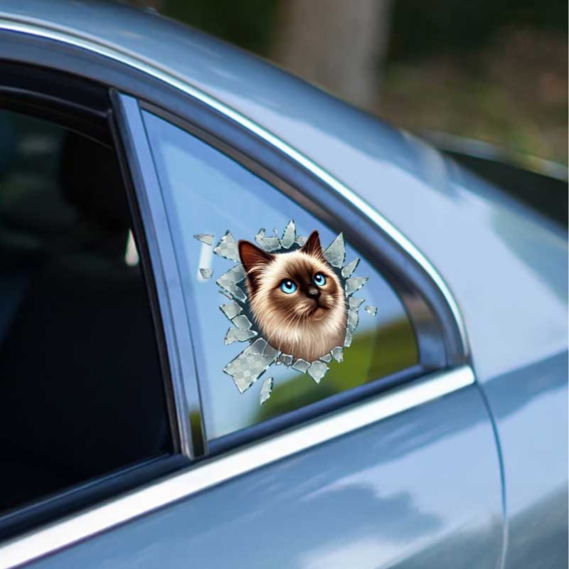 Fulcar Siamesse Araç Stickerı Fulcar Siamesse Araç Stickerı
