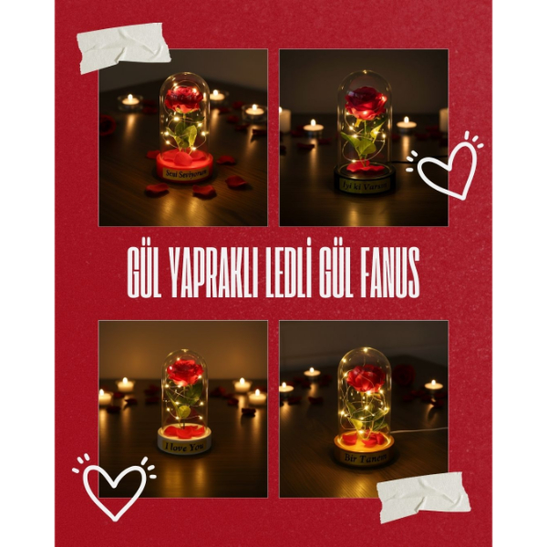 Gül Yapraklı Ledli Gül Fanus Gül Yapraklı Ledli Gül Fanus