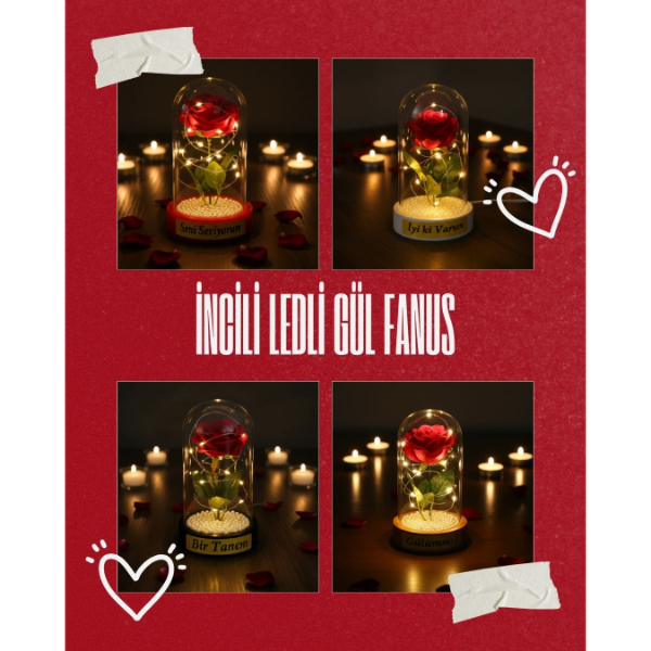 İncili Ledli Gül Fanus İncili Ledli Gül Fanus