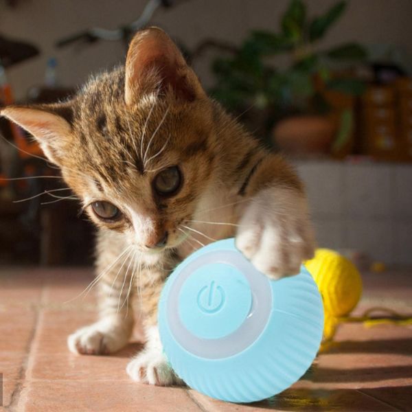 İnteraktif Kedi Köpek Şarjlı Oyun Topu İnteraktif Kedi Köpek Şarjlı Oyun Topu