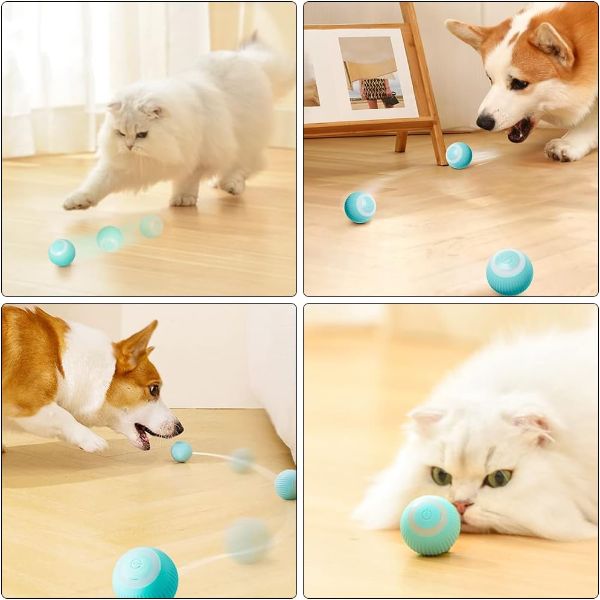 İnteraktif Kedi Köpek Şarjlı Oyun Topu İnteraktif Kedi Köpek Şarjlı Oyun Topu