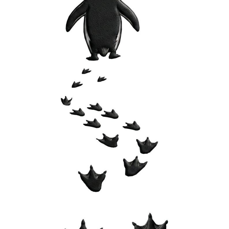 Kadın 3 İplik Pamuklu Kapüşonlu Hoodie Sweatshirt Nihilist Penguen Baskılı - Beyaz Kadın 3 İplik Pamuklu Kapüşonlu Hoodie Sweatshirt Nihilist Penguen Baskılı - Beyaz