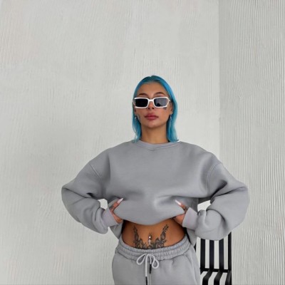 Kadın Bisiklet Yaka 3 İplik Pamuklu Basic SweatShirt - Gri Kadın Bisiklet Yaka 3 İplik Pamuklu Basic SweatShirt - Gri