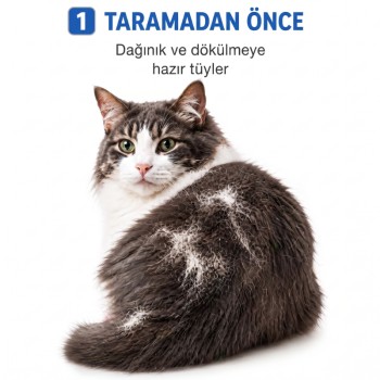 Kedi Köpek Tarağı - Evcil Hayvan Tüy Toplama Tarağı - Metal Uçlu Kedi Köpek Tarağı - Evcil Hayvan Tüy Toplama Tarağı - Metal Uçlu