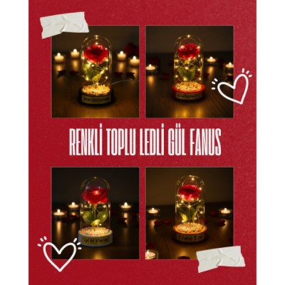 Renkli Toplu Ledli Gül Fanus Renkli Toplu Ledli Gül Fanus