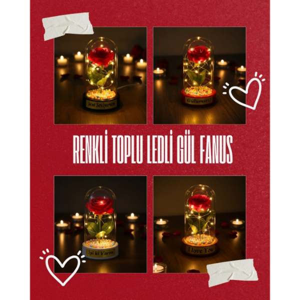 Renkli Toplu Ledli Gül Fanus Renkli Toplu Ledli Gül Fanus