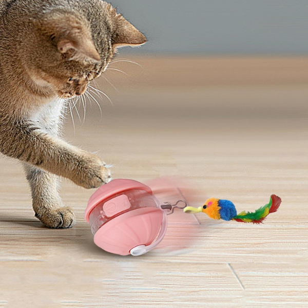 Şarjlı Hareketli Kedi Topu Oyuncak Şarjlı Hareketli Kedi Topu Oyuncak