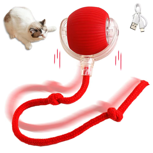 Şarjlı Kedi Oyuncağı Şarjlı Kedi Oyuncağı