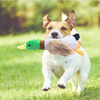 Sesli Ördek Şekilli Peluş Köpek Oyuncağı