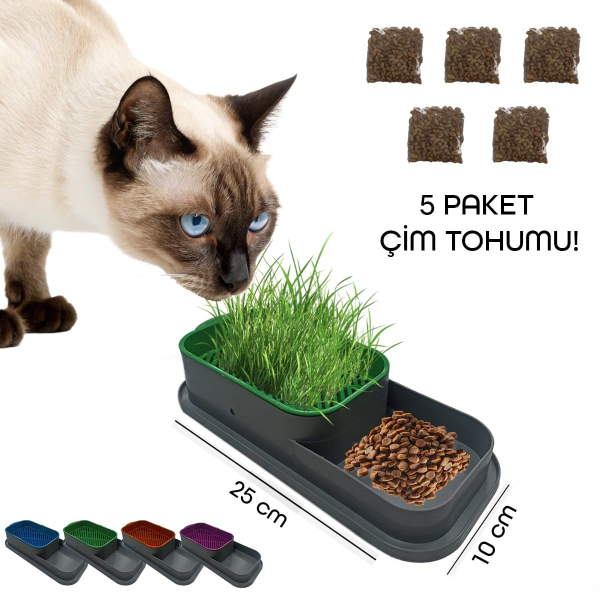 Topraksız Kedi Çimi Kabı Topraksız Kedi Çimi Kabı