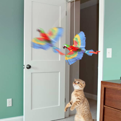 Uçan Papağan Kedi Oyuncağı Uçan Papağan Kedi Oyuncağı