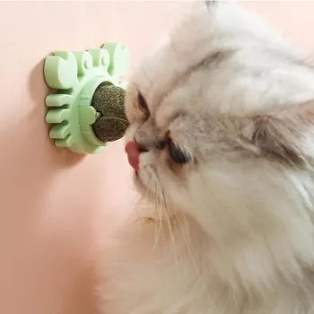 Yengeç Kedi Otu Oyun Topu