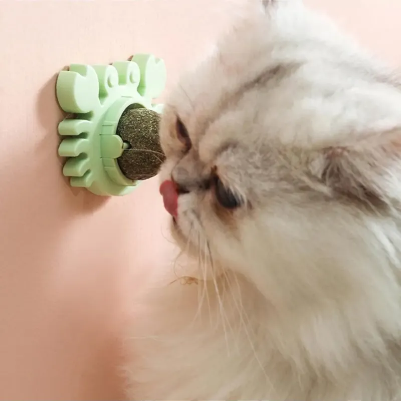 Yengeç Kedi Otu Oyun Topu